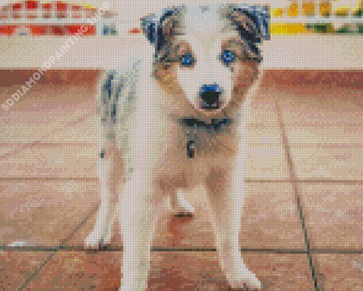 Mini Aussie Diamond Painting
