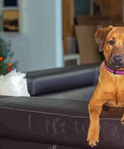 Mountain Cur On The Couch Diamond Painting