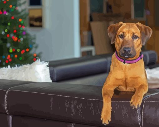 Mountain Cur On The Couch Diamond Painting