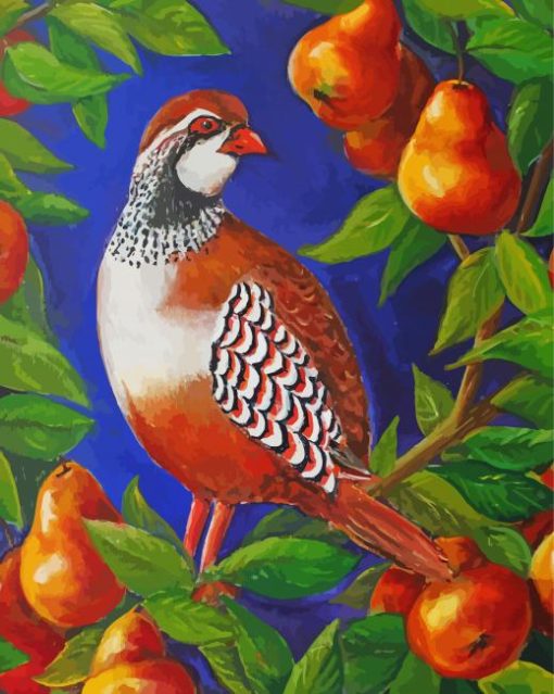 Partridge Diamond Painting