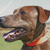 Plott Hound Side Profile Diamond Painting