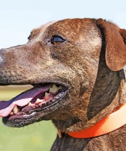 Plott Hound Side Profile Diamond Painting