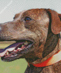 Plott Hound Side Profile Diamond Painting