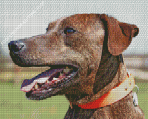 Plott Hound Side Profile Diamond Painting