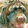 Portuguese Water Dog Art Diamond Painting