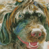 Portuguese Water Dog Art Diamond Painting