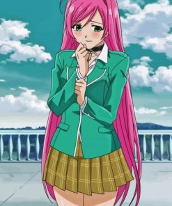 Rosario Vampire Diamond Painting