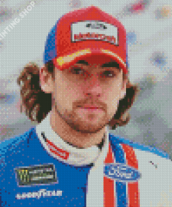 Ryan Michael Blaney Diamond Painting