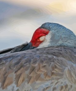 Sandhill Cranes Sleeping Diamond Painting