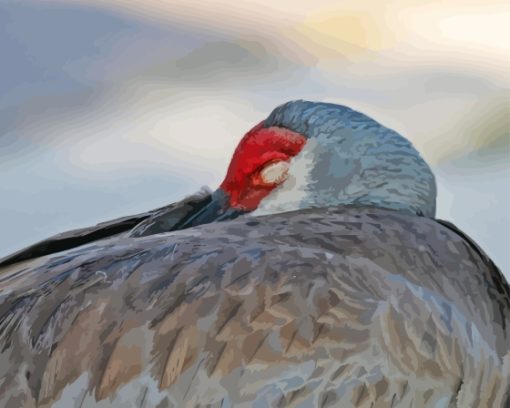 Sandhill Cranes Sleeping Diamond Painting