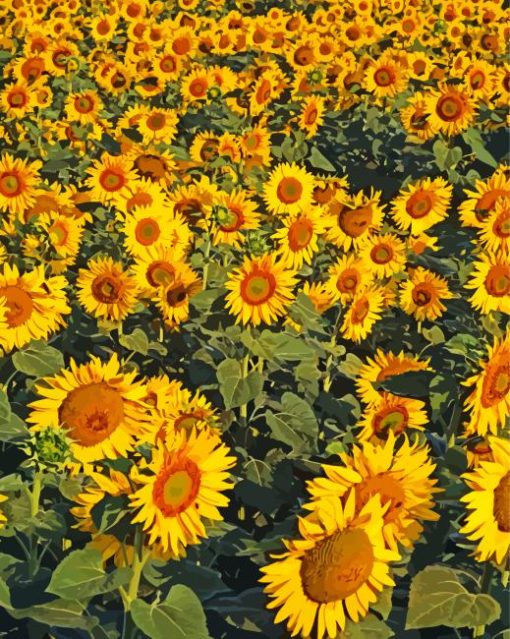 Small Sunflower Farm Diamond Painting