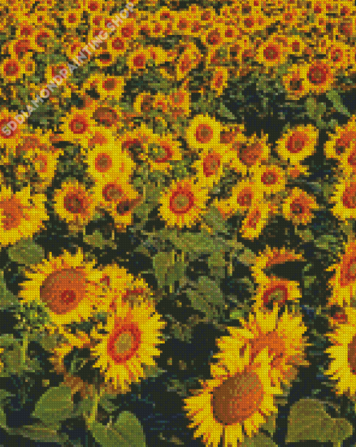 Small Sunflower Farm Diamond Painting