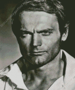 Terence Hill In Black And White Diamond Painting