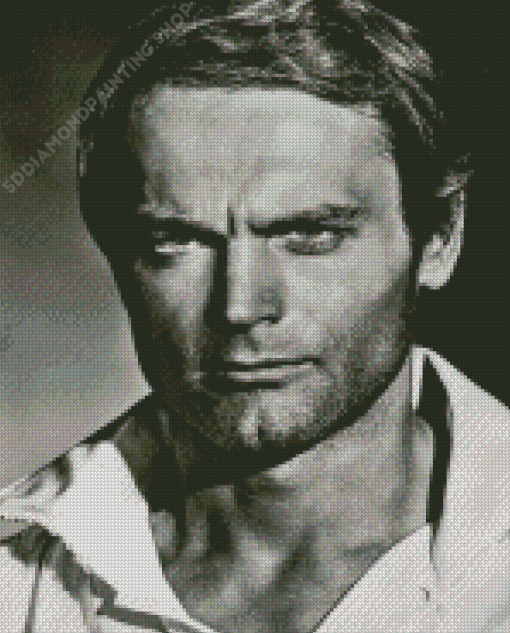 Terence Hill In Black And White Diamond Painting