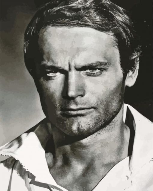 Terence Hill In Black And White Diamond Painting