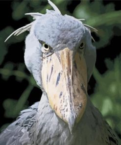 The Shoebill Stork Diamond Painting