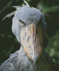 The Shoebill Stork Diamond Painting