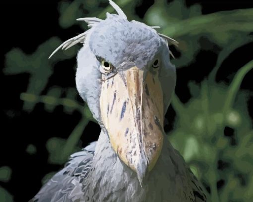 The Shoebill Stork Diamond Painting