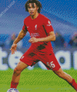 Trent Alexander Arnold Diamond Painting