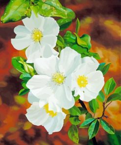 White Blooming Cherokee Roses Diamond Painting