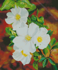 White Blooming Cherokee Roses Diamond Painting