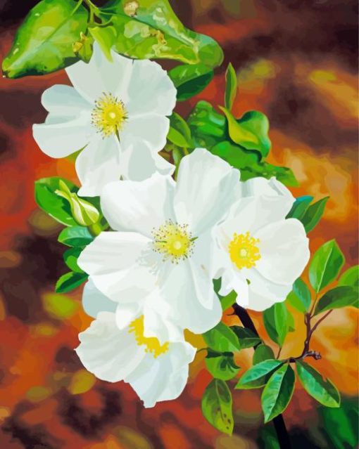 White Blooming Cherokee Roses Diamond Painting