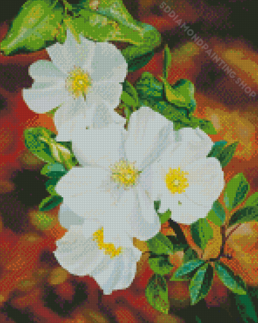 White Blooming Cherokee Roses Diamond Painting