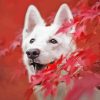 White Swiss Shepherd With Red Leaves Diamond Painting