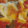 White And Yellow Gladiolus Diamond Painting