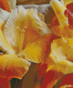 White And Yellow Gladiolus Diamond Painting