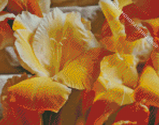 White And Yellow Gladiolus Diamond Painting