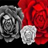 White And Red Roses Diamond Painting