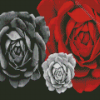 White And Red Roses Diamond Painting