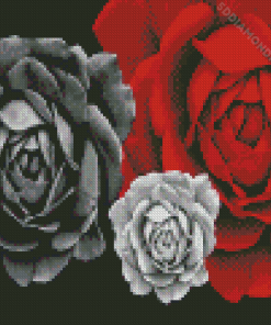 White And Red Roses Diamond Painting