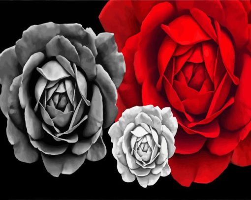 White And Red Roses Diamond Painting