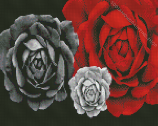 White And Red Roses Diamond Painting