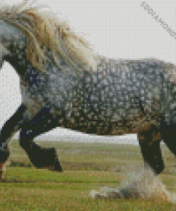 Wild Percheron Horse Diamond Painting