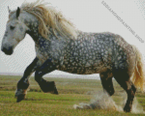 Wild Percheron Horse Diamond Painting