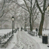 Winter Scene New York Diamond Painting