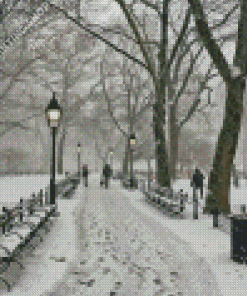 Winter Scene New York Diamond Painting