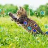 Aesthetic Cat With Bubbles Diamond Painting