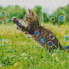 Aesthetic Cat With Bubbles Diamond Painting