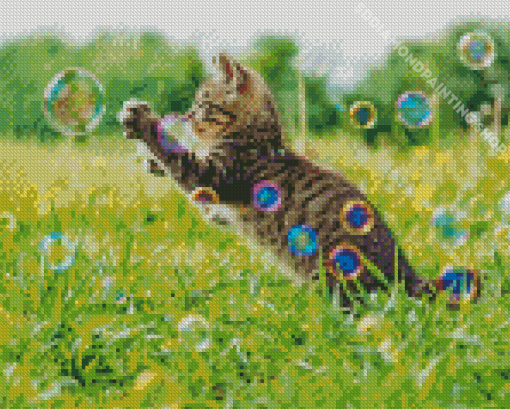 Aesthetic Cat With Bubbles Diamond Painting