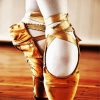 Ballet Shoes Diamond Painting