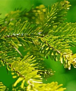 Balsam Fir Leaves Diamond Painting