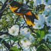 Baltimore Oriole And White Flowers Diamond Painting