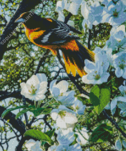 Baltimore Oriole And White Flowers Diamond Painting