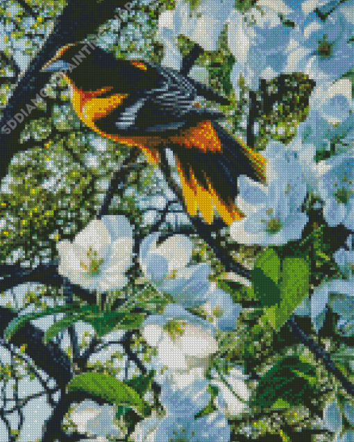 Baltimore Oriole And White Flowers Diamond Painting