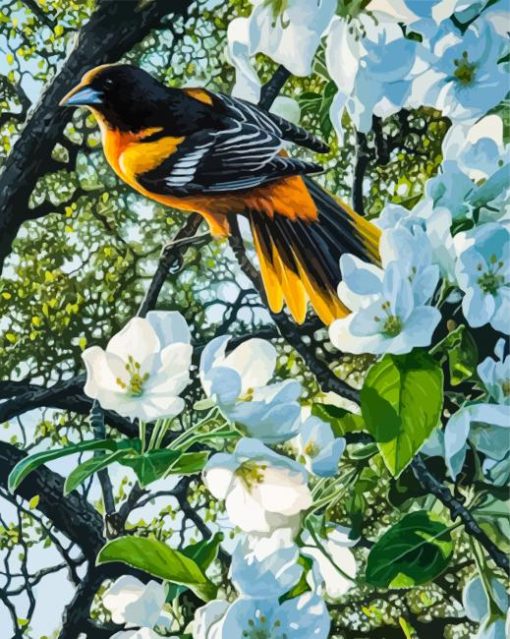 Baltimore Oriole And White Flowers Diamond Painting