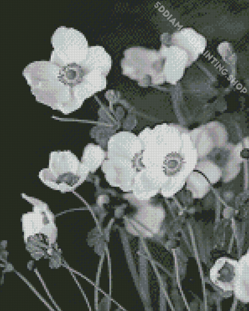 White Anemones Diamond Painting